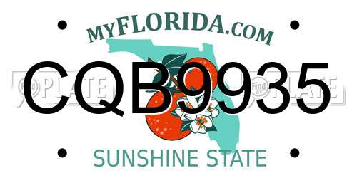 CQB9935 Florida License Plate