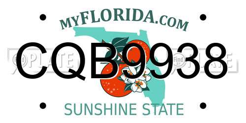 CQB9938 Florida License Plate