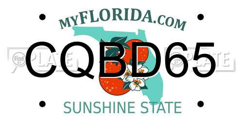 CQBD65 Florida License Plate