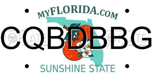 CQBDBBG Florida License Plate