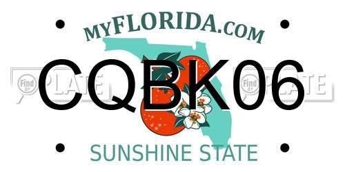 CQBK06 Florida License Plate