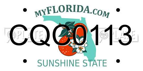 CQC0113 Florida License Plate