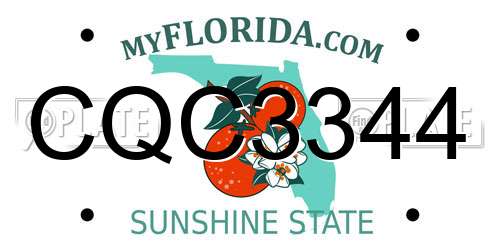 CQC3344 Florida License Plate