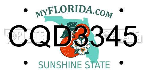 CQD3345 Florida License Plate