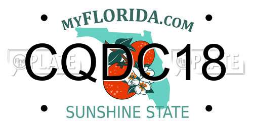 CQDC18 Florida License Plate