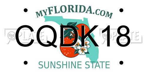 CQDK18 Florida License Plate