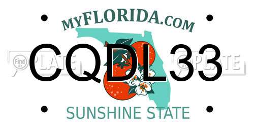 CQDL33 Florida License Plate