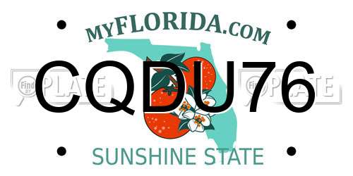 CQDU76 Florida License Plate