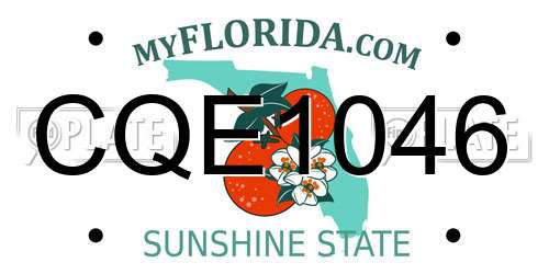 CQE1046 Florida License Plate