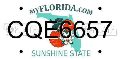 CQE6657 Florida License Plate