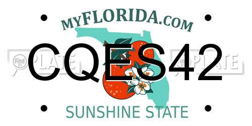 CQES42 Florida License Plate