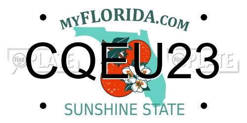 CQEU23 Florida License Plate