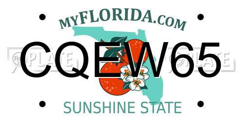 CQEW65 Florida License Plate