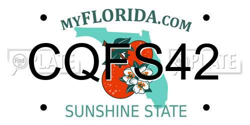 CQFS42 Florida License Plate