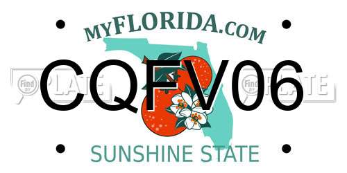 CQFV06 Florida License Plate