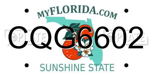 CQG6602 Florida License Plate