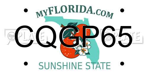 CQGP65 Florida License Plate