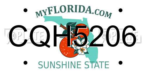 CQH5206 Florida License Plate