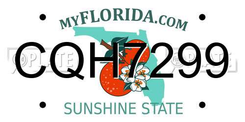 CQH7299 Florida License Plate