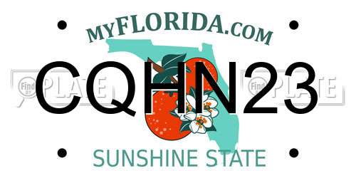 CQHN23 Florida License Plate