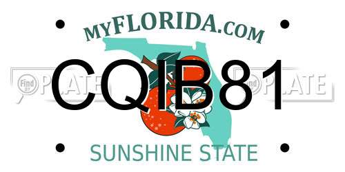 CQIB81 Florida License Plate