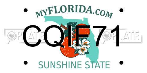 CQIF71 Florida License Plate