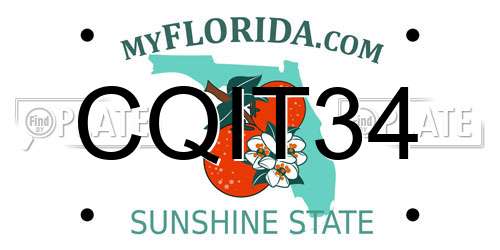 CQIT34 Florida License Plate