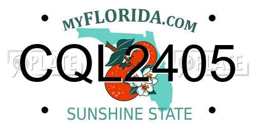CQL2405 Florida License Plate