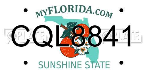 CQL8841 Florida License Plate