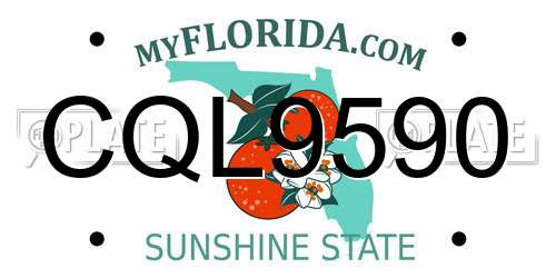 CQL9590 Florida License Plate