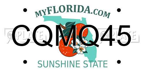 CQMQ45 Florida License Plate