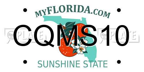 CQMS10 Florida License Plate