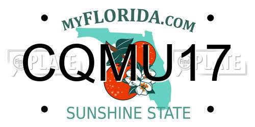 CQMU17 Florida License Plate