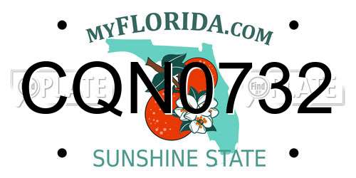 CQN0732 Florida License Plate