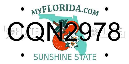 CQN2978 Florida License Plate