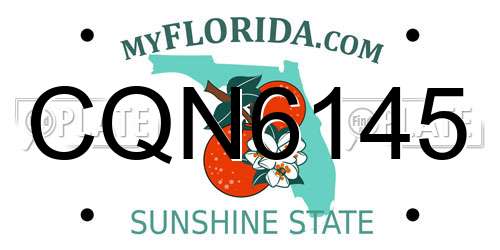 CQN6145 Florida License Plate