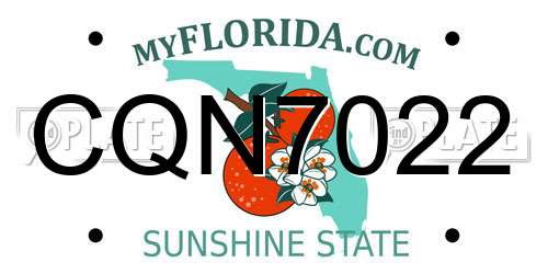 CQN7022 Florida License Plate