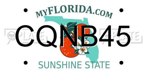 CQNB45 Florida License Plate