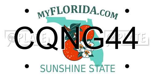 CQNG44 Florida License Plate
