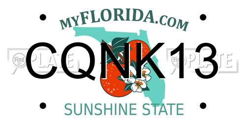 CQNK13 Florida License Plate