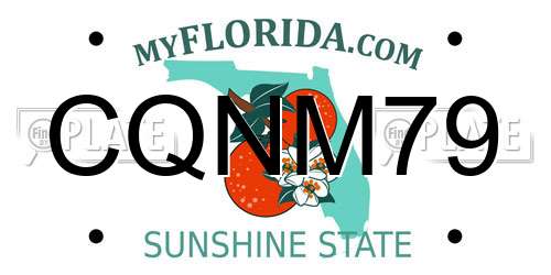 CQNM79 Florida License Plate