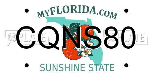CQNS80 Florida License Plate