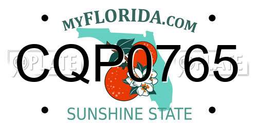 CQP0765 Florida License Plate