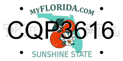 CQP3616 Florida License Plate