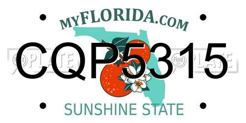 CQP5315 Florida License Plate