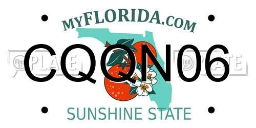 CQQN06 Florida License Plate