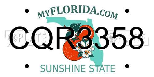 CQR3358 Florida License Plate