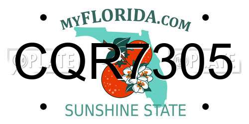 CQR7305 Florida License Plate