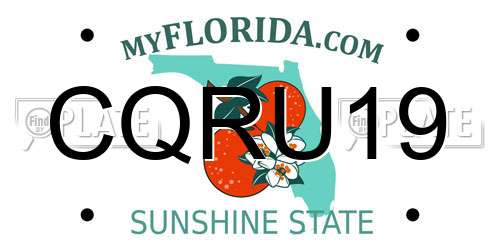 CQRU19 Florida License Plate