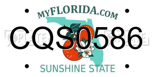 CQS0586 Florida License Plate